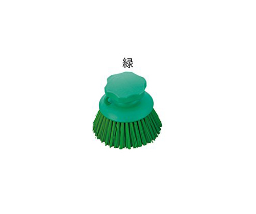 SANIFOODS HACCP Hand Brush Round Green