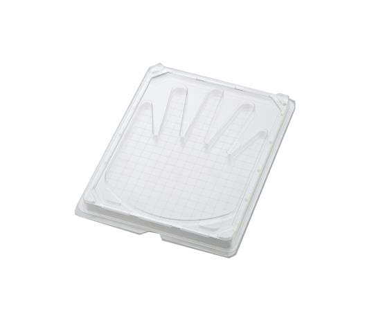 Hand Petri Dish 10 Pieces x 1 Bag