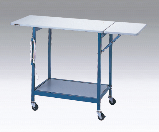 New Lab Bench With Auxiliary Top Panel Type 1200 x 600 x 800mm